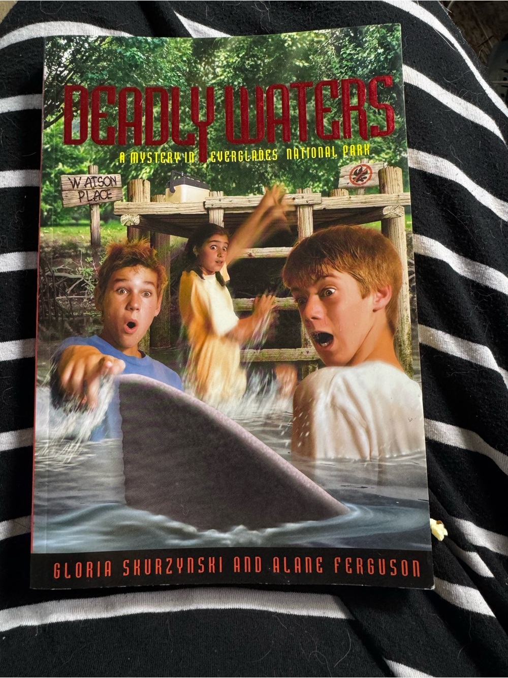 Deadly Waters: A Mystery in Everglades National Park by Ferguson, Alane